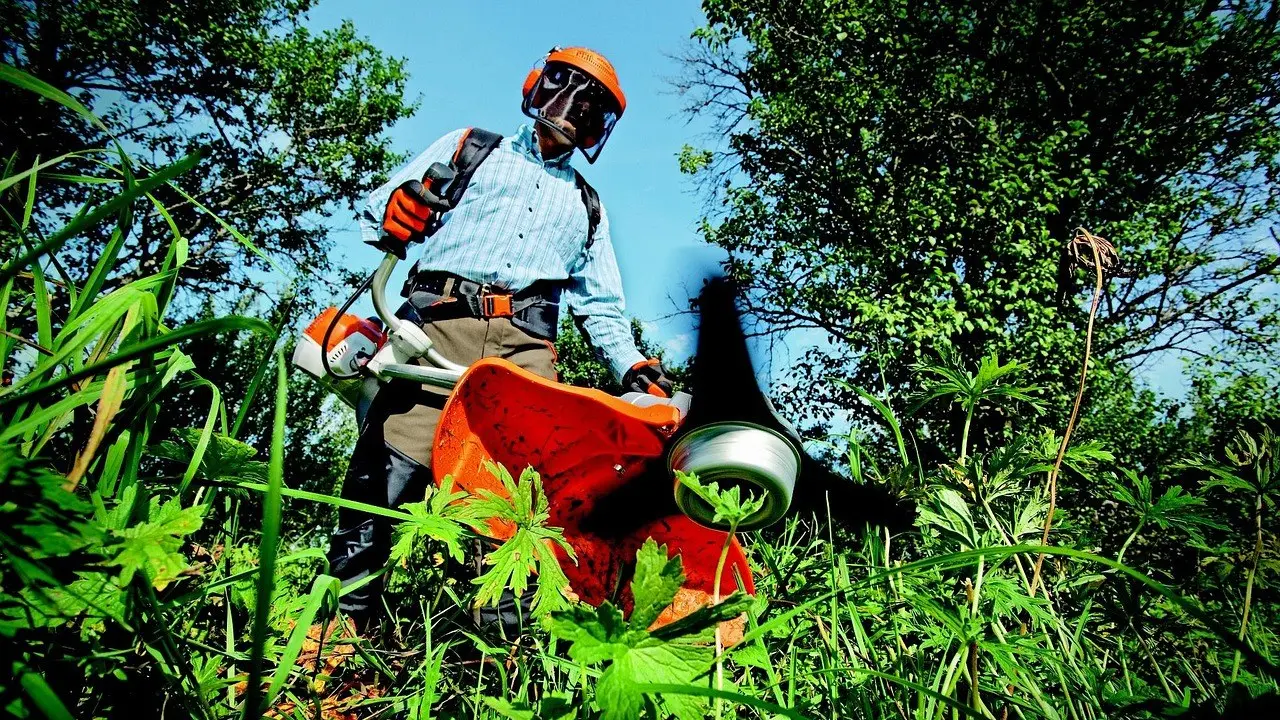 A landscaper trimming tall grass along a garden edge