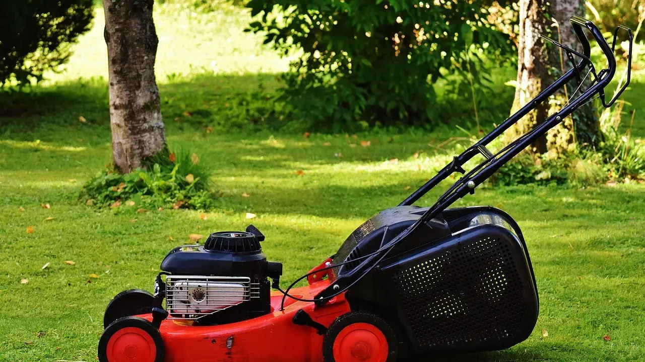 A push mower on a freshly cut lawn