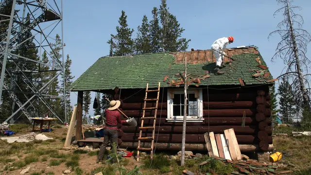 House with a green roof being worked on