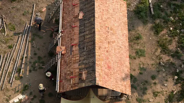 Aerial view of a shingle roof
