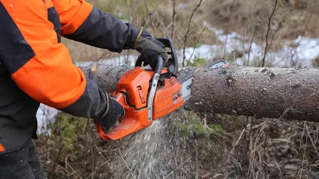 A chainsaw cutting through a fallen tree trunk